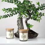 Bomboniere Battesimo Bonsai regala un bonsai, simbolo di vita e prosperità, per un evento unico e indimenticabile