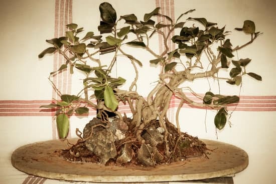 accogliente ospitalità sarda a due passi dal mare